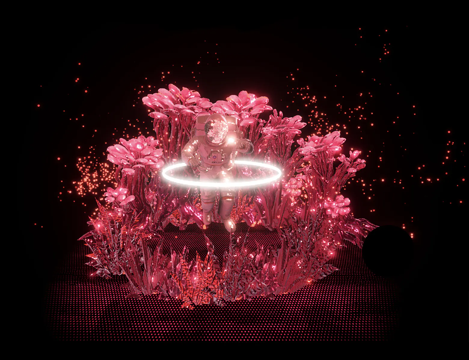 Magentaverse