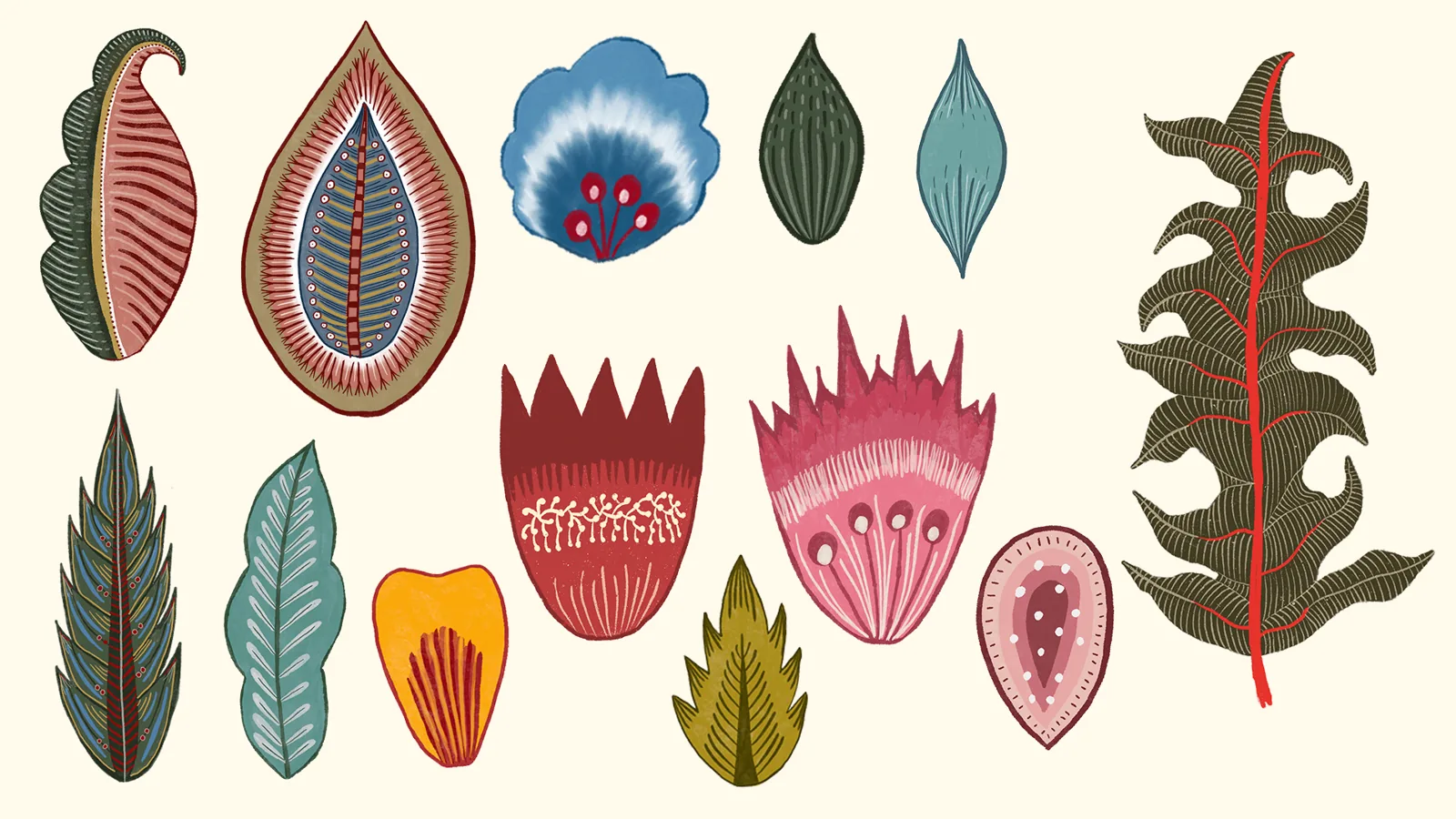 Quiet Echoes — hand-drawn petals and leaves