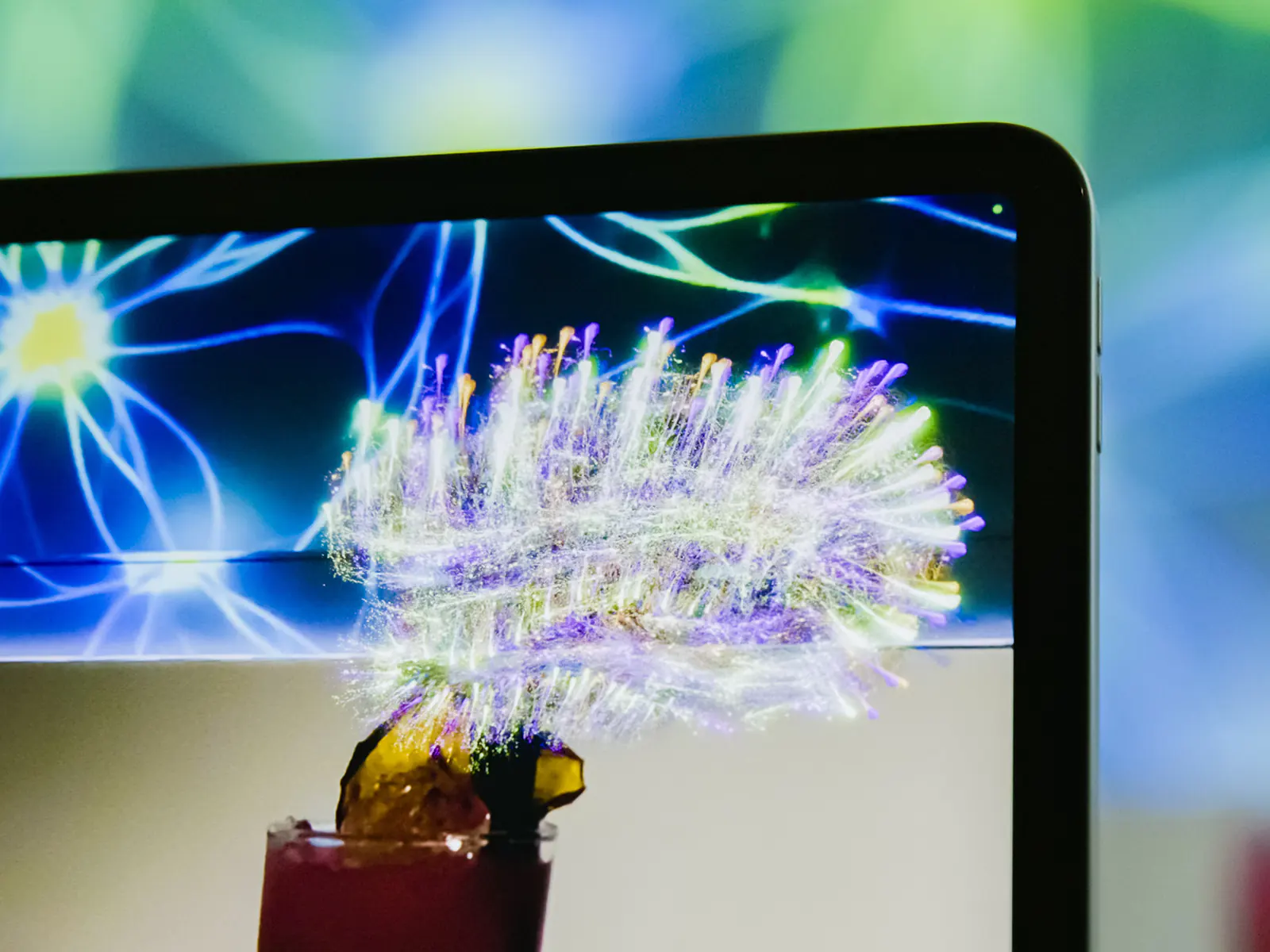 Life of a Neuron — Brainbow