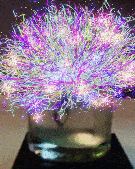 Life of a Neuron — Neuroplasticity