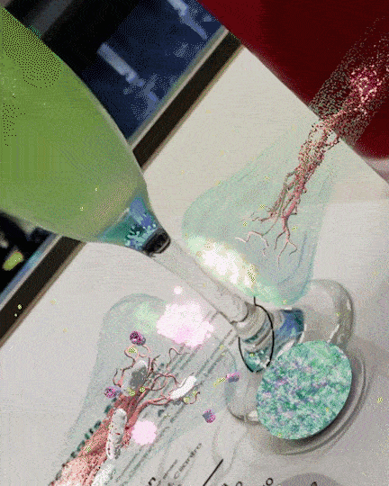 Life of a Neuron — Synapse