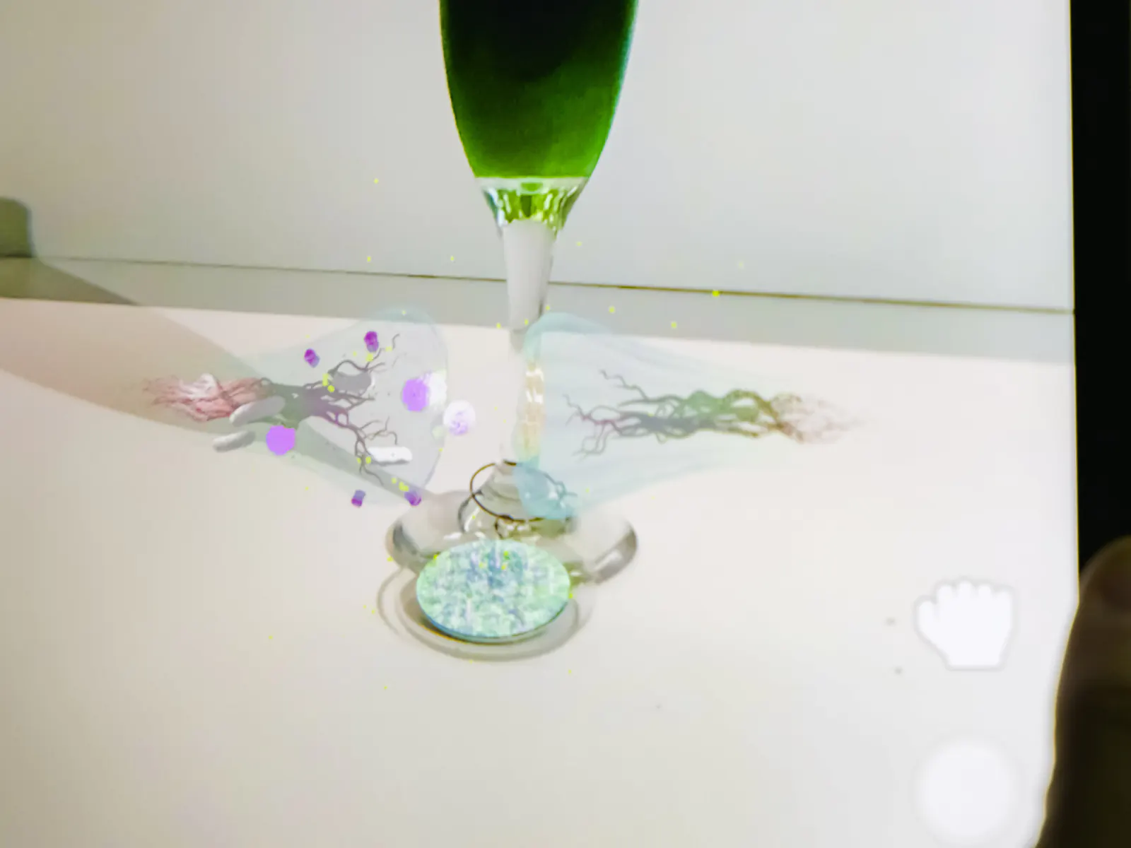Life of a Neuron — Synapse