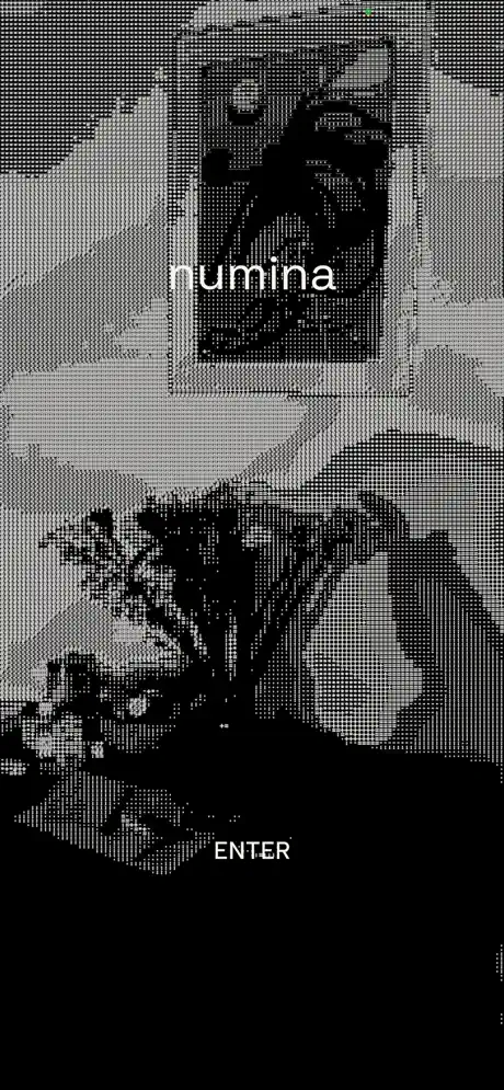 Numina app screenshot