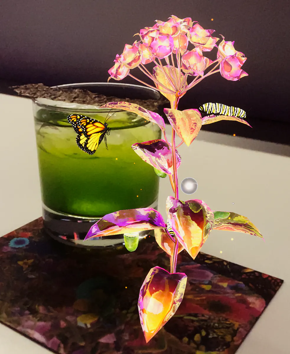 Timeless Butterflies — Renewed